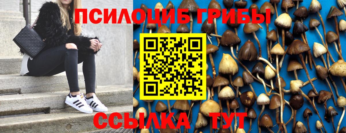 Псилоцибиновые грибы Psilocybine cubensis  Вход с VPN  Майкоп  закладки  Псилоцибиновые грибы Cubensis 